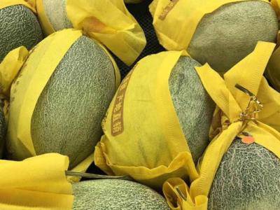 吃甜瓜發(fā)胖嗎？甜瓜的熱量