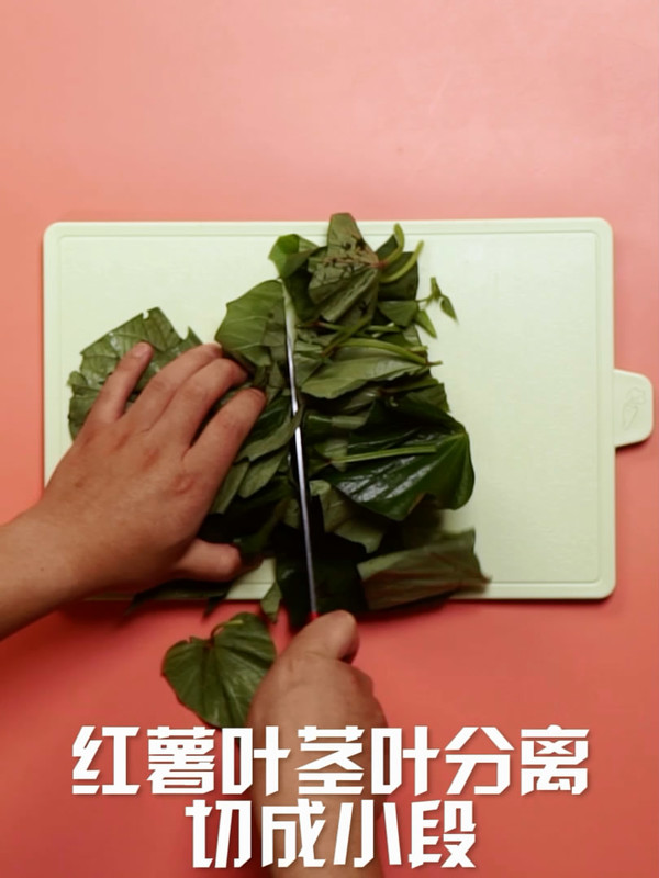 清炒紅薯葉的做法-家常味炒菜譜
