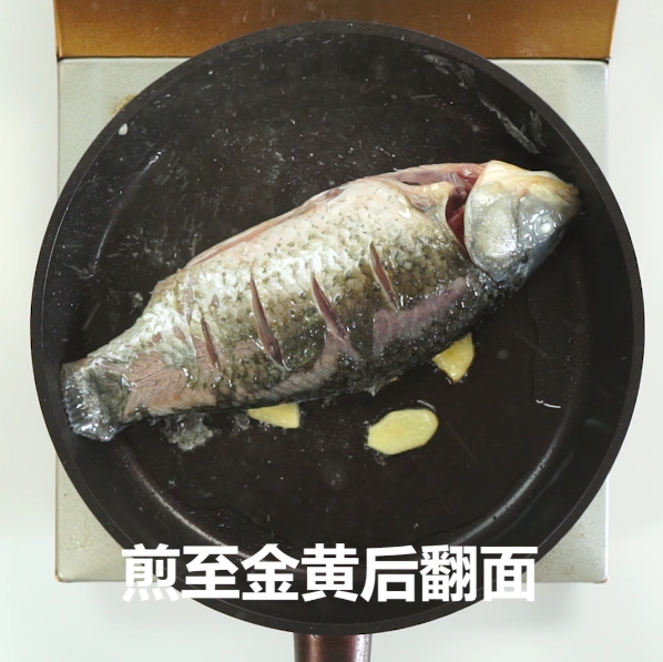鯽魚豆腐湯的做法-咸鮮味燉菜譜
