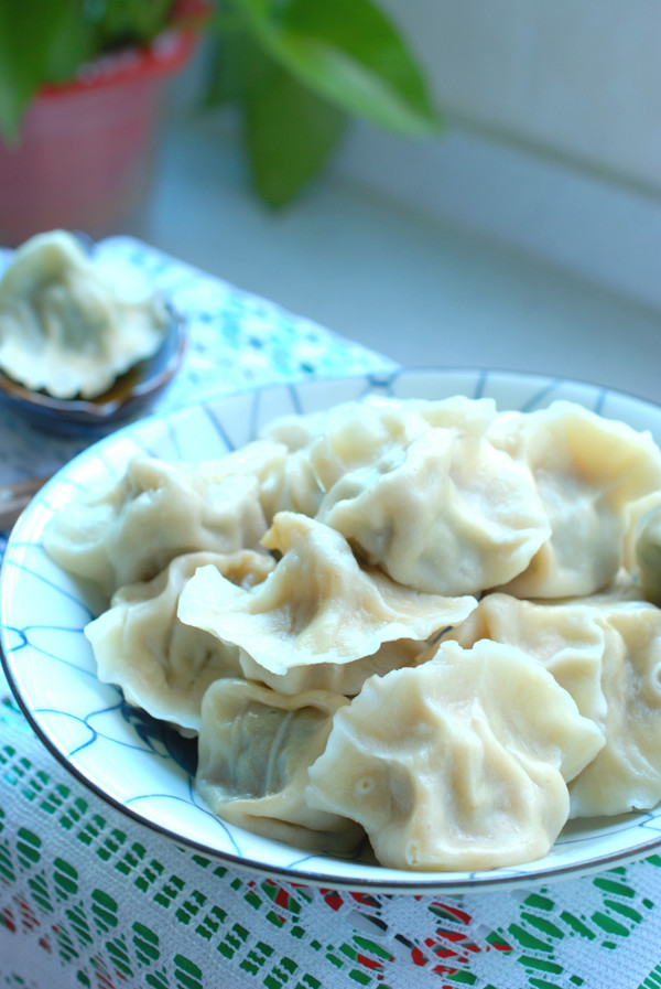 牛肉茴香水餃的做法-家常味煮菜譜-易網健康養生網 牛肉茴香水餃的做法-家常味煮菜譜