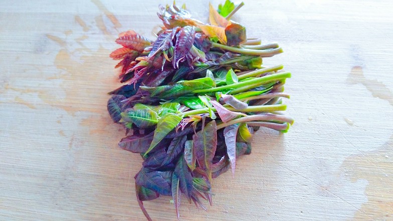 香椿拌豆腐的做法-咸鮮味拌菜譜