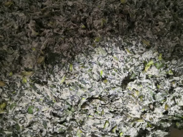 馬齒莧菜饃饃的做法-家常味蒸菜譜-易網(wǎng)健康養(yǎng)生網(wǎng) 馬齒莧菜饃饃的做法-家常味蒸菜譜