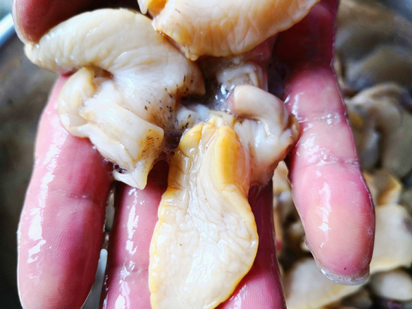 蒜苔炒假鮑魚(yú)的做法-咸鮮味炒菜譜-易網(wǎng)健康養(yǎng)生網(wǎng) 蒜苔炒假鮑魚(yú)的做法-咸鮮味炒菜譜