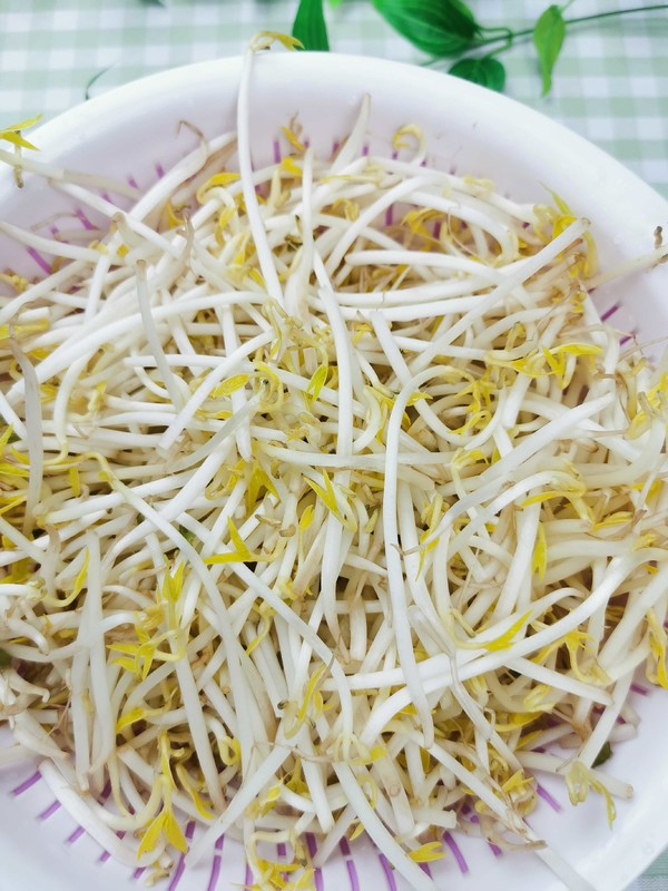 醋溜綠豆芽的做法-酸辣味炒菜譜-易網(wǎng)<a href=http://www.aoa7937.com/ target=_blank class=infotextkey>健康養(yǎng)生</a>網(wǎng) 醋溜綠豆芽的做法-酸辣味炒菜譜