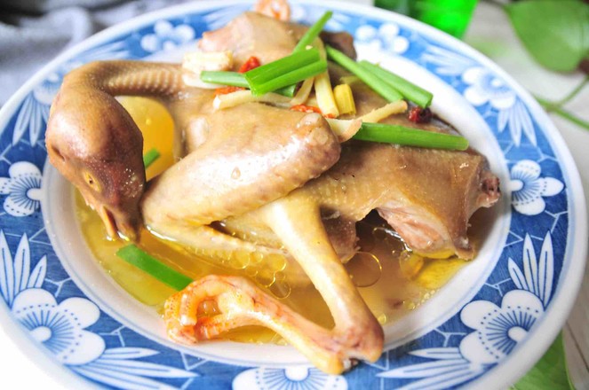 清蒸鴿子的做法-家常味蒸菜譜-易網(wǎng)健康養(yǎng)生網(wǎng) 清蒸鴿子的做法-家常味蒸菜譜