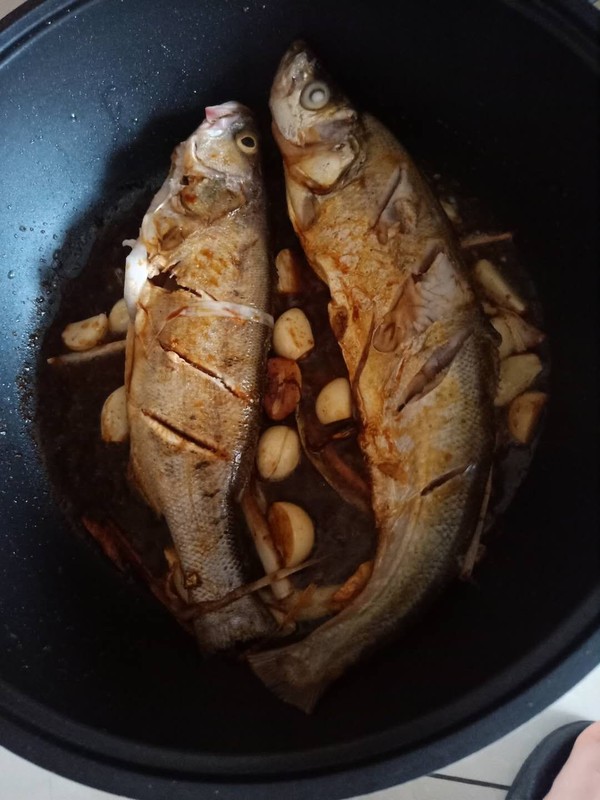 紅燒鱸魚(yú)的做法-家常味燒菜譜