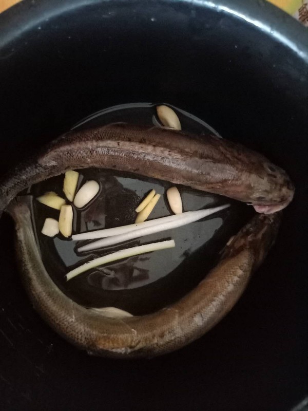 紅燒鱸魚(yú)的做法-家常味燒菜譜