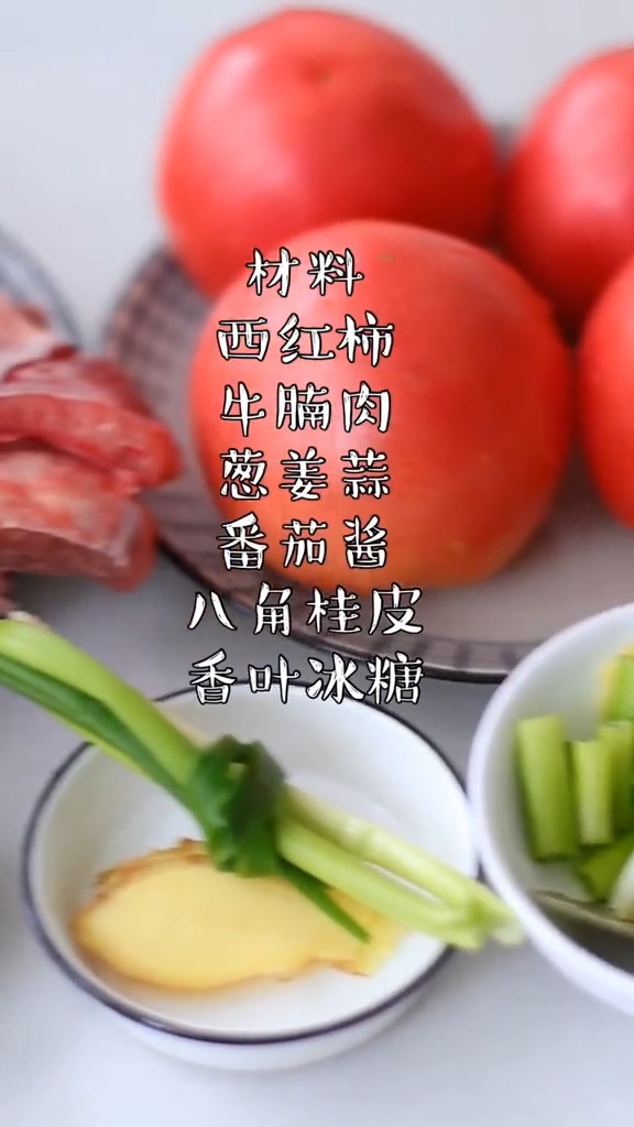 番茄燉牛腩的做法-咸鮮味燉菜譜