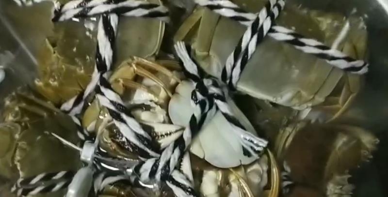 清蒸螃蟹配自制料汁的做法-家常味蒸菜譜-易網<a href=http://www.aoa7937.com/ target=_blank class=infotextkey>健康養生</a>網 清蒸螃蟹配自制料汁的做法-家常味蒸菜譜