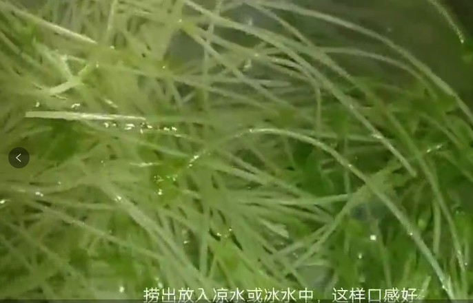 家常拌豆苗的做法-咸鮮味拌菜譜