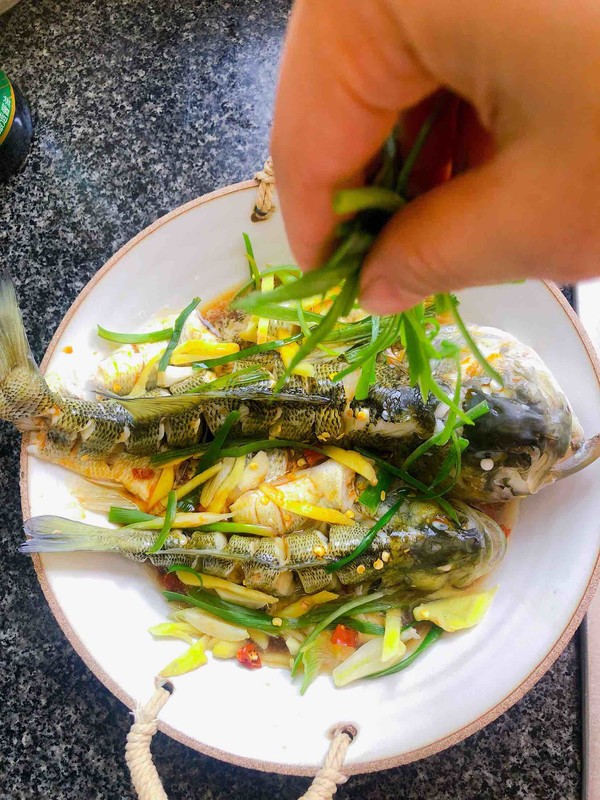 豉油蒸鱸魚的做法-醬香味蒸菜譜
