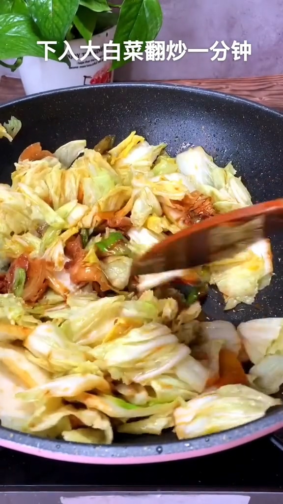 大白菜燉粉條的做法-咸鮮味燉菜譜