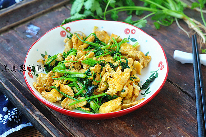 雞蛋炒香菜的做法-家常味炒菜譜-易網(wǎng)健康養(yǎng)生網(wǎng) 雞蛋炒香菜的做法-家常味炒菜譜