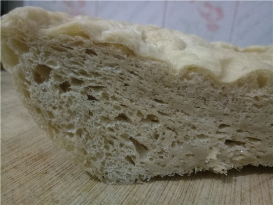 簡單自制面筋 (發酵法)的做法-家常味蒸菜譜-易網健康養生網 簡單自制面筋 (發酵法)的做法-家常味蒸菜譜