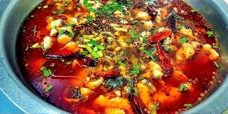 水煮魚蛙的做法-麻辣味煮菜譜-易網(wǎng)健康養(yǎng)生網(wǎng) 水煮魚蛙的做法-麻辣味煮菜譜