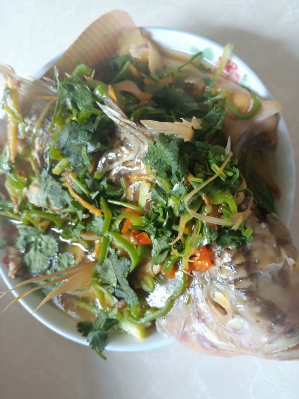 清蒸羅非魚的做法-家常味蒸菜譜-易網健康養生網 清蒸羅非魚的做法-家常味蒸菜譜