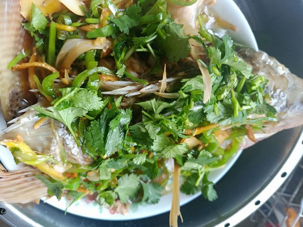 清蒸羅非魚的做法-家常味蒸菜譜-易網健康養生網 清蒸羅非魚的做法-家常味蒸菜譜