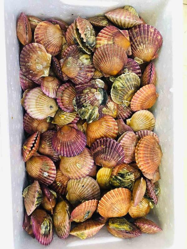 蒜蓉粉絲蒸扇貝的做法-醬香味蒸菜譜