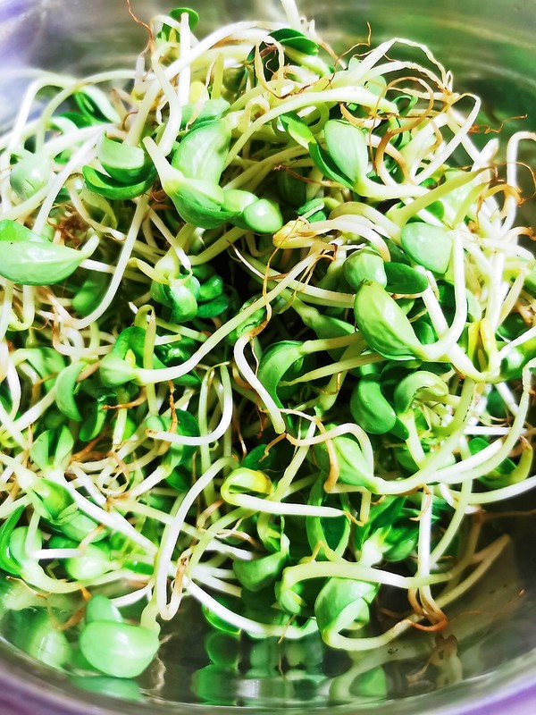蒜香豆苗的做法-咸鮮味炒菜譜