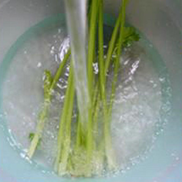 黑木耳香芹炒餃子皮的做法-家常味炒菜譜