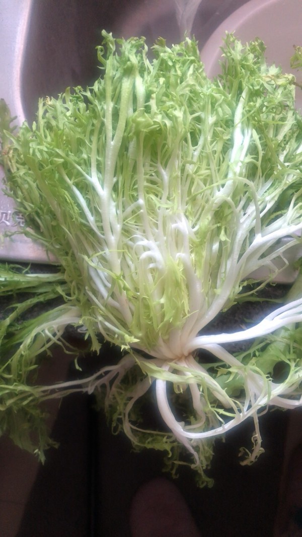蔬菜水果沙拉的做法-酸甜味拌菜譜