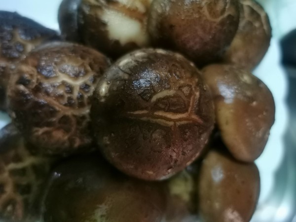 變裝簡版佛跳墻的做法-家常味燜菜譜-易網健康養(yǎng)生網 變裝簡版佛跳墻的做法-家常味燜菜譜