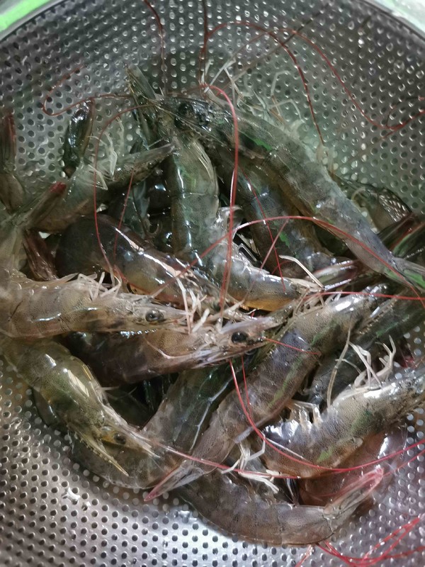 變裝簡版佛跳墻的做法-家常味燜菜譜-易網健康養(yǎng)生網 變裝簡版佛跳墻的做法-家常味燜菜譜