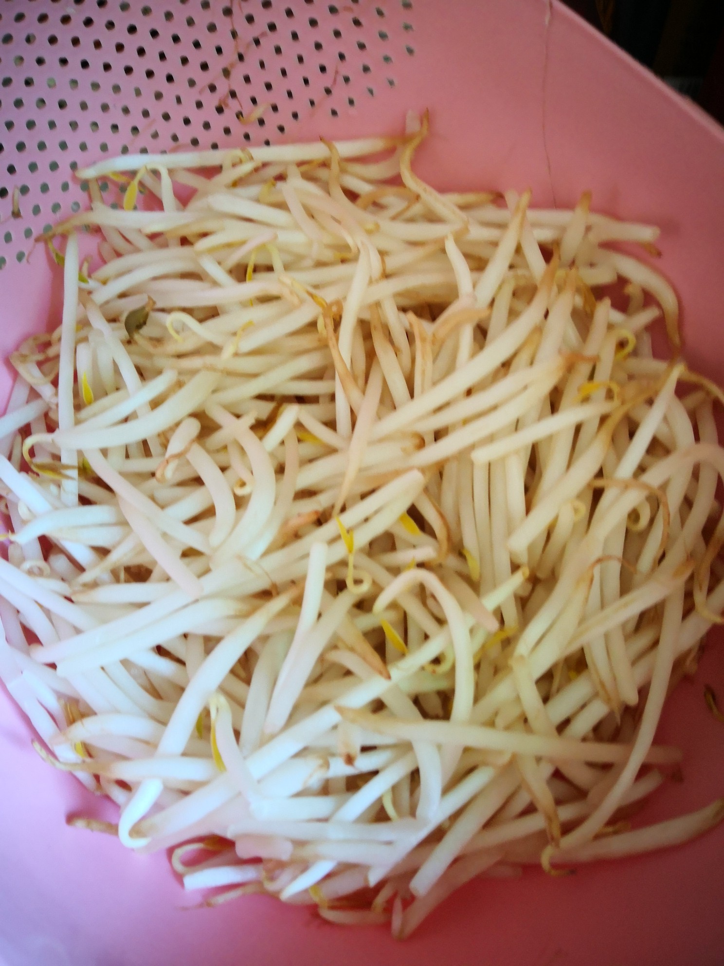 韭菜炒木耳的做法-家常味炒菜譜