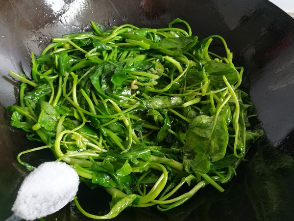 清炒芥藍的做法-家常味炒菜譜