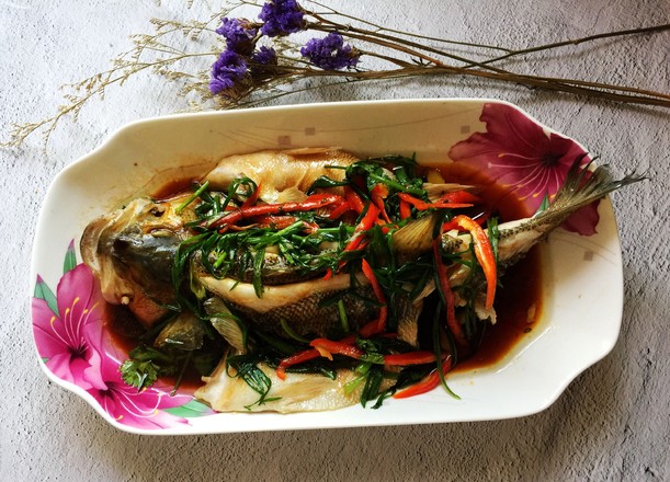 蔥香鱸魚的做法-家常味蒸菜譜-易網健康養生網 蔥香鱸魚的做法-家常味蒸菜譜