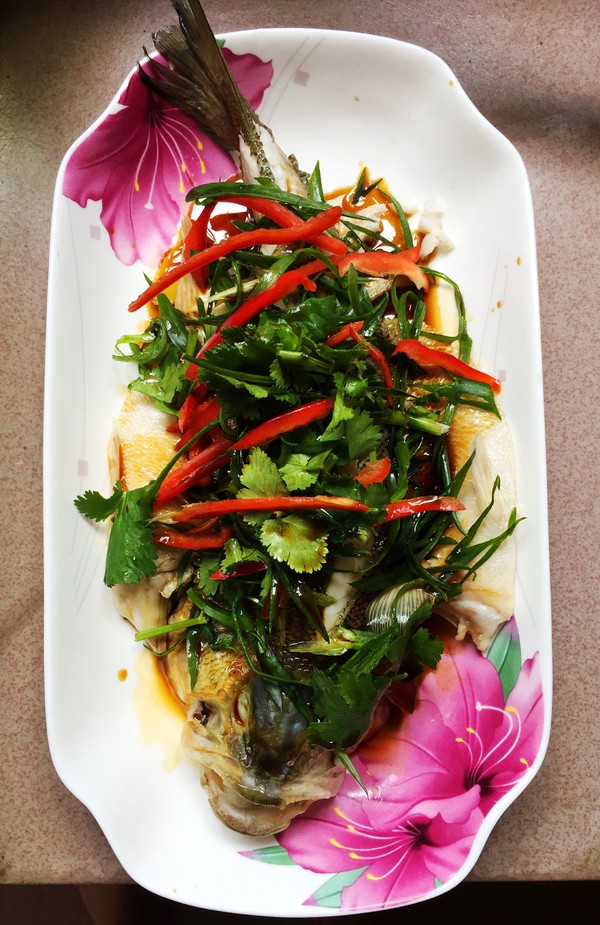 蔥香鱸魚的做法-家常味蒸菜譜-易網健康養生網 蔥香鱸魚的做法-家常味蒸菜譜