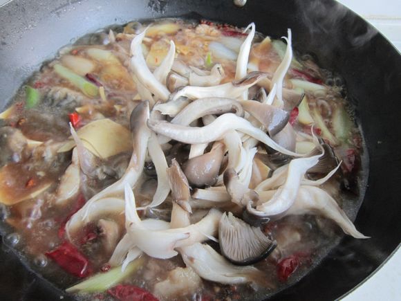 蘑菇燉鯉魚的做法-家常味燉菜譜-易網(wǎng)健康養(yǎng)生網(wǎng) 蘑菇燉鯉魚的做法-家常味燉菜譜