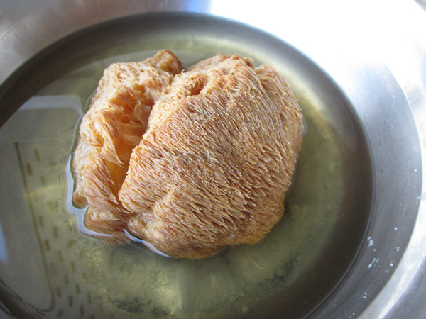 猴頭菇豆腐燉鯽魚(yú)的做法-咸鮮味燉菜譜