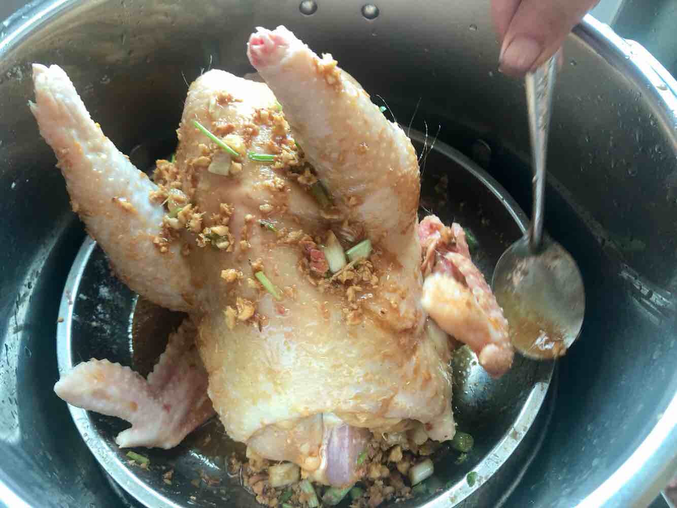 生姜焗雞的做法-咸鮮味焗菜譜-易網健康養生網 生姜焗雞的做法-咸鮮味焗菜譜