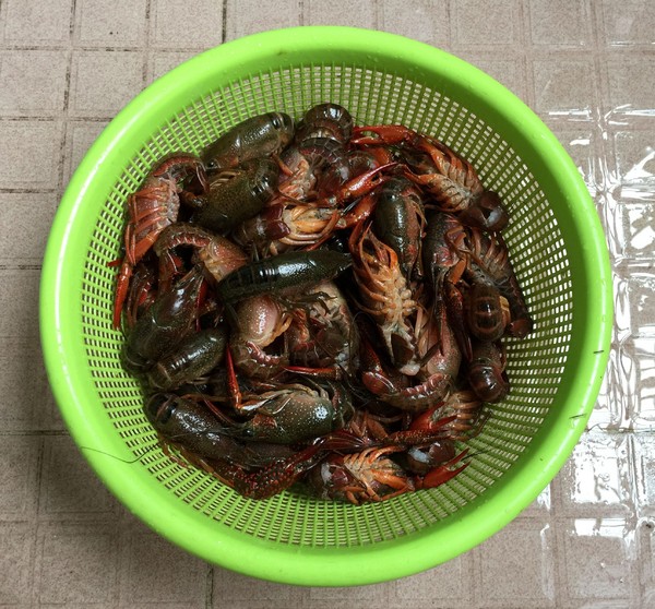 麻辣小龍蝦的做法-香辣味炒菜譜