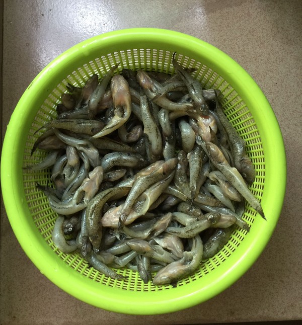 香辣小魚仔的做法-咸鮮味燒菜譜-易網健康養生網 香辣小魚仔的做法-咸鮮味燒菜譜