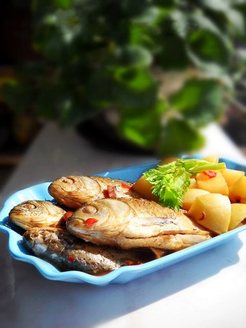 蘿卜燉鯽魚的做法-咸鮮味燉菜譜-易網健康養生網 蘿卜燉鯽魚的做法-咸鮮味燉菜譜