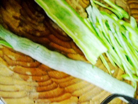 蔥香蛇豆肉絲的做法-蔥香味炒菜譜