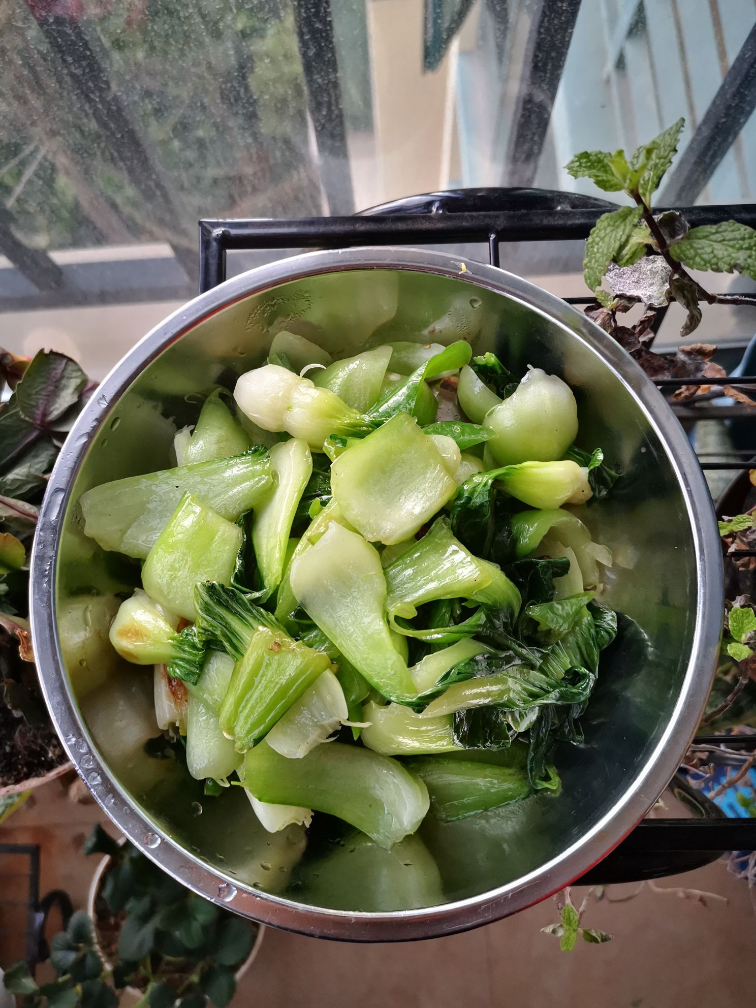 青椒小油菜的做法-家常味炒菜譜-易網健康養生網 青椒小油菜的做法-家常味炒菜譜