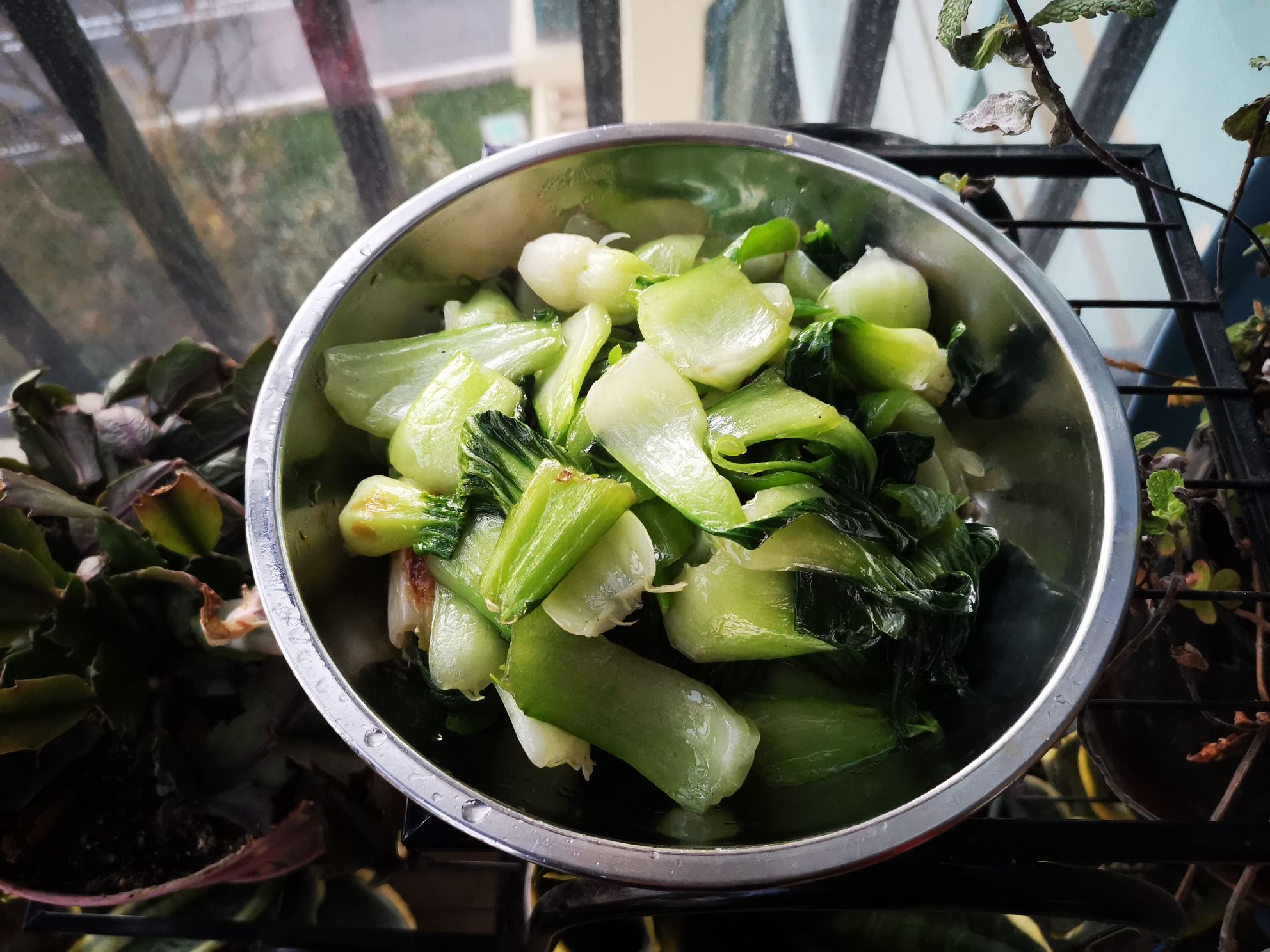 青椒小油菜的做法-家常味炒菜譜-易網健康養生網 青椒小油菜的做法-家常味炒菜譜