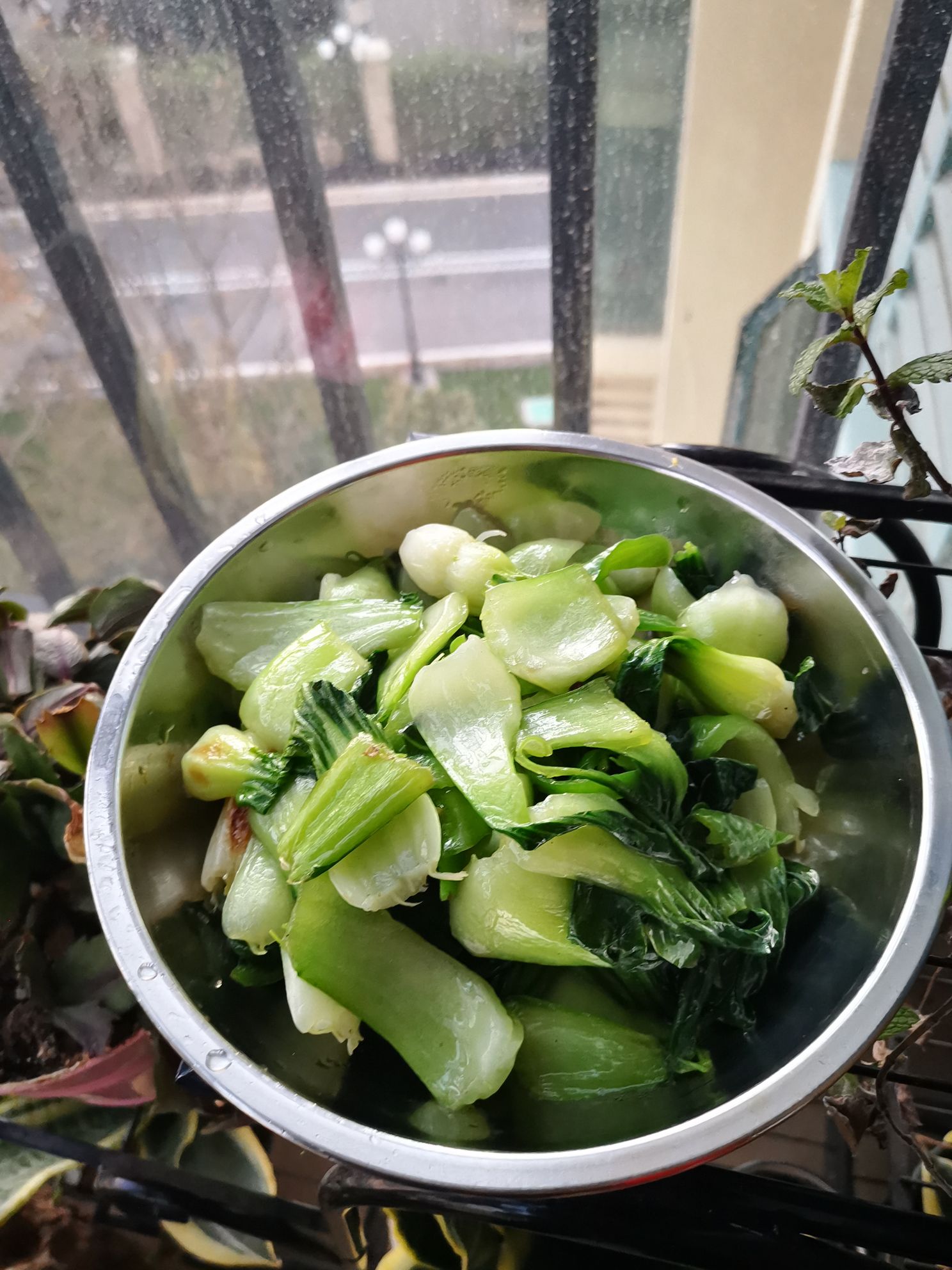 青椒小油菜的做法-家常味炒菜譜-易網健康養生網 青椒小油菜的做法-家常味炒菜譜