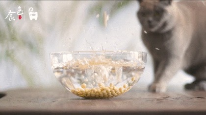 黃豆燒豬尾！超級好吃的家常菜，學會了這道菜，誰還去吃紅燒肉和大豬蹄子??？的做法-咸鮮味燒菜譜