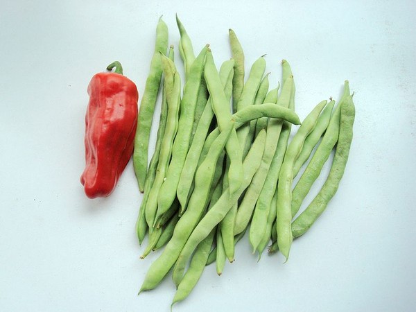 豆角炒牛肚的做法-家常味炒菜譜-易網<a href=http://www.aoa7937.com/ target=_blank class=infotextkey>健康養生</a>網 豆角炒牛肚的做法-家常味炒菜譜