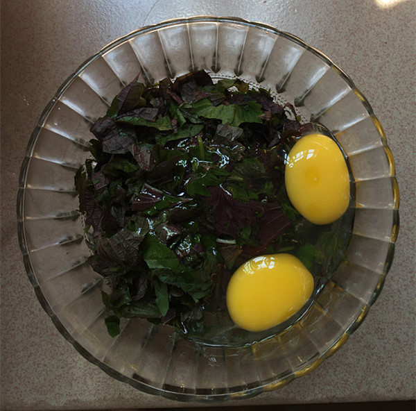 紫蘇煎雞蛋的做法-家常味煎菜譜-易網健康養生網 紫蘇煎雞蛋的做法-家常味煎菜譜