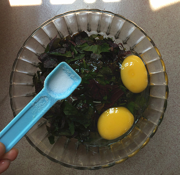 紫蘇煎雞蛋的做法-家常味煎菜譜-易網健康養生網 紫蘇煎雞蛋的做法-家常味煎菜譜