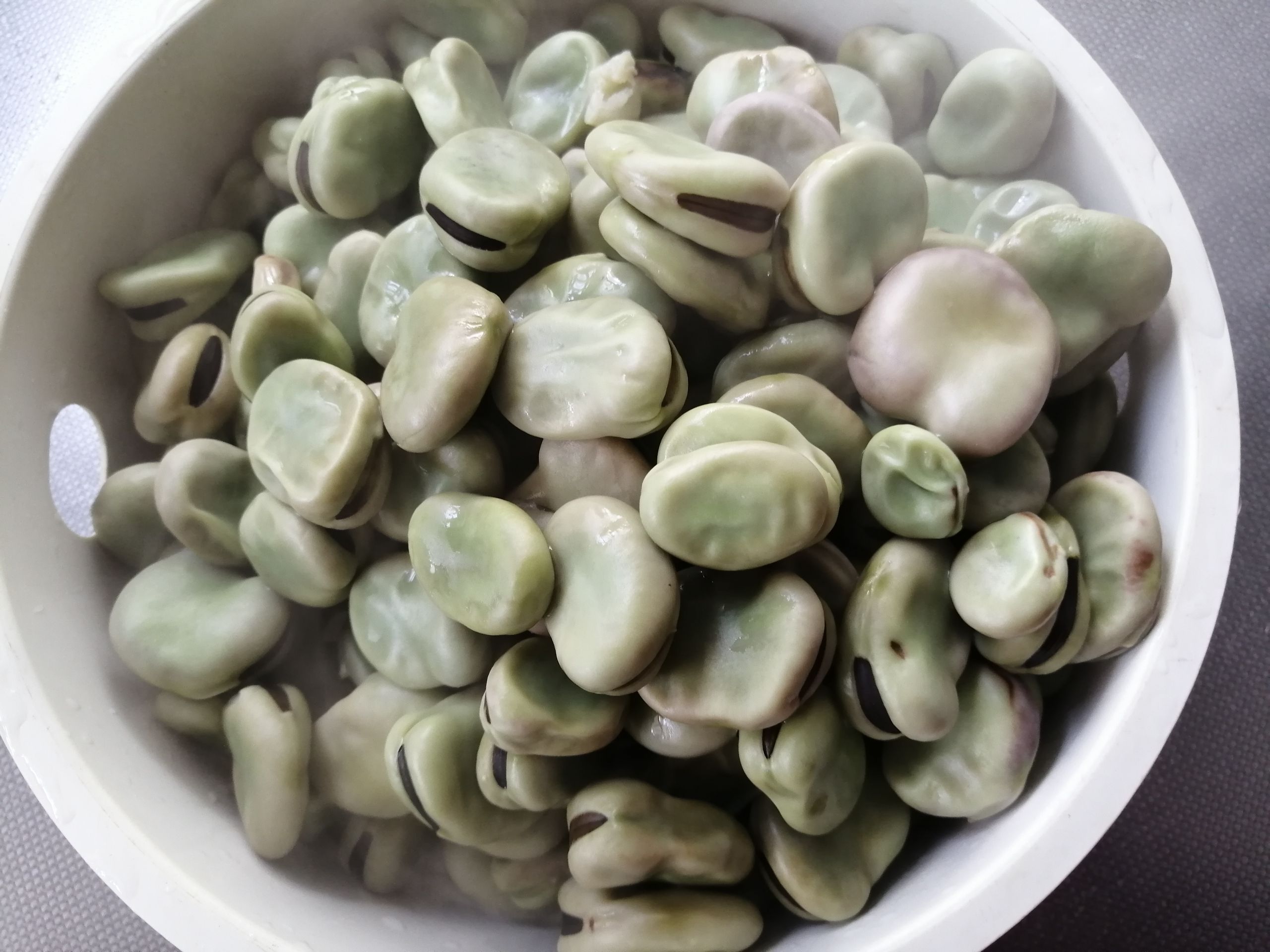 干煸蠶豆的做法-家常味炒菜譜