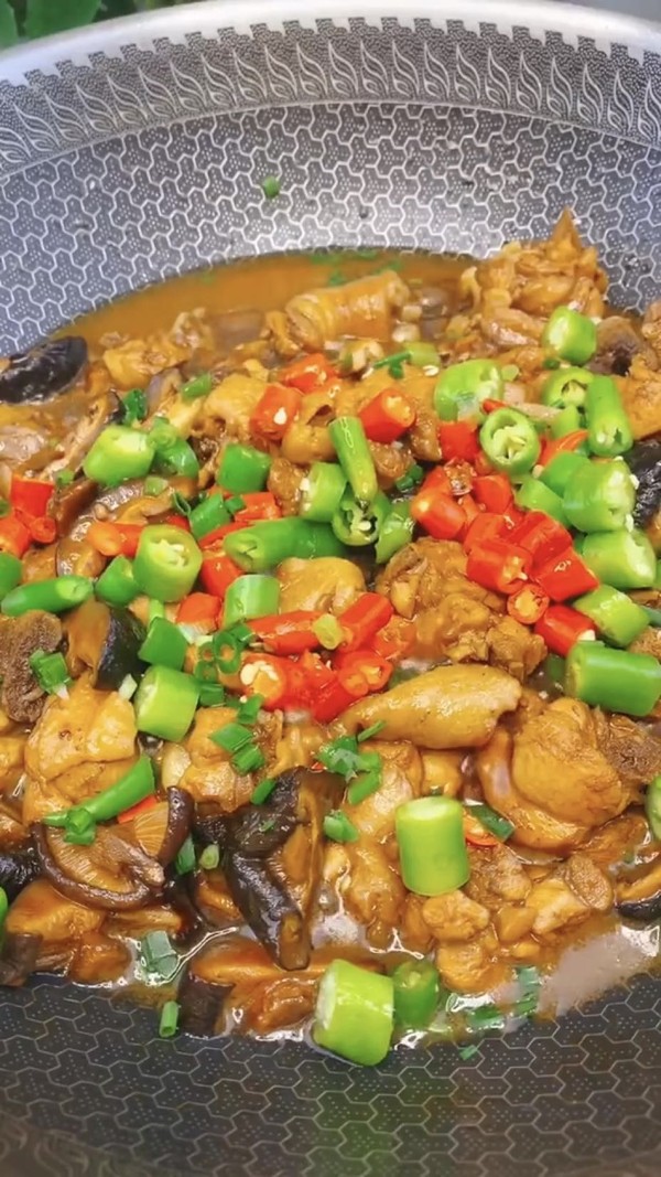 家常燜雞肉的做法-咸鮮味燜菜譜