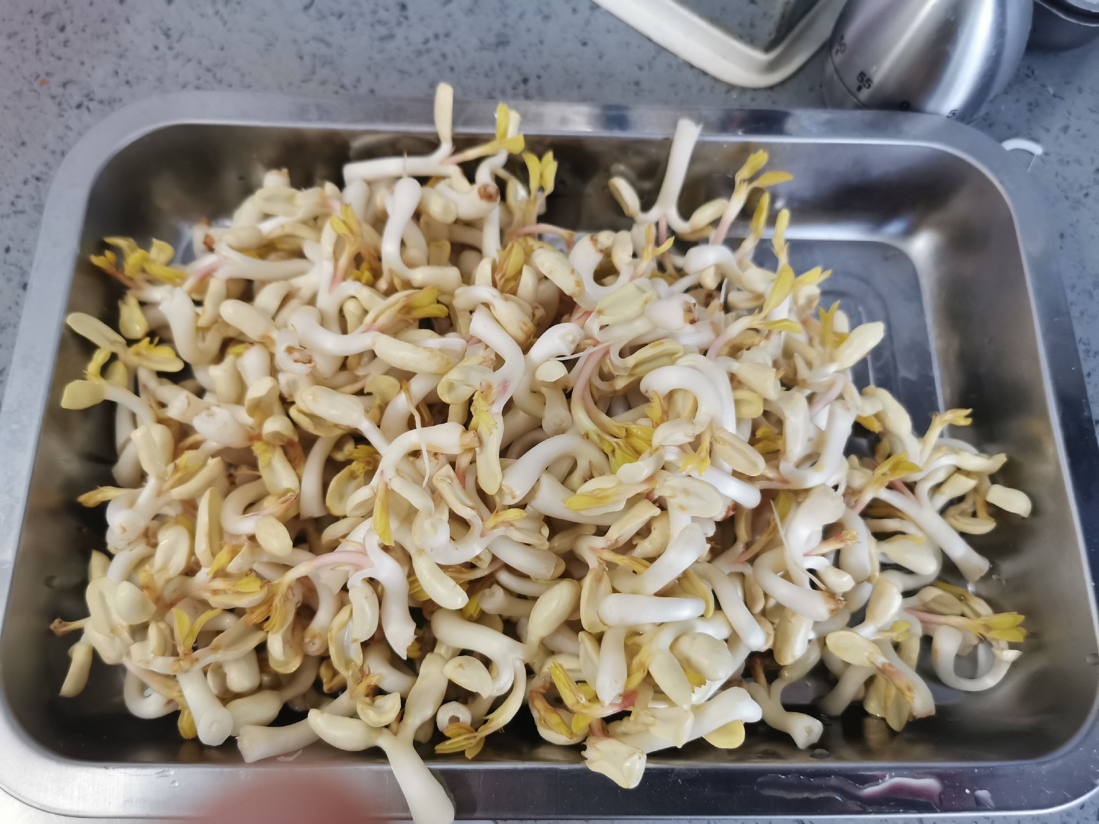 清炒花生芽的做法-家常味炒菜譜