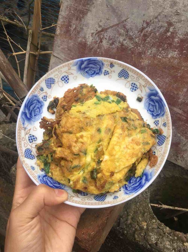 蔥花煎蛋的做法-家常味煎菜譜-易網健康養生網 蔥花煎蛋的做法-家常味煎菜譜