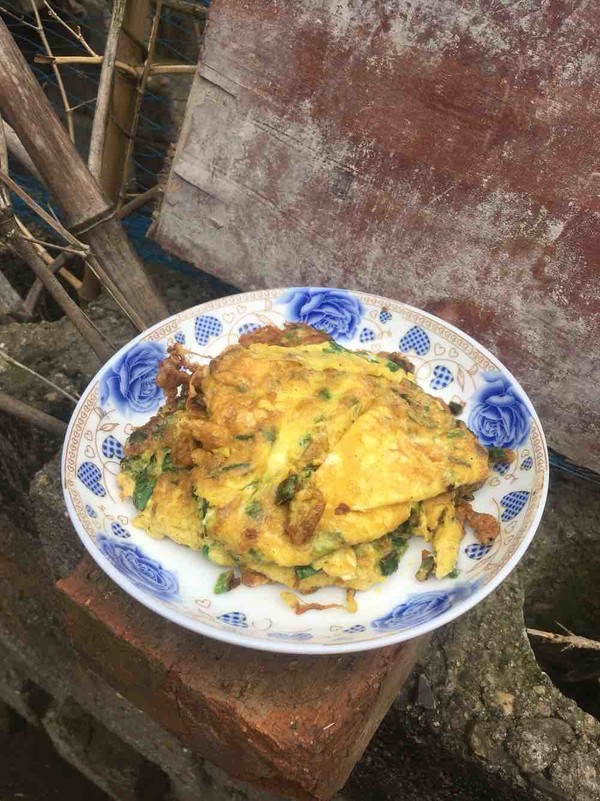 蔥花煎蛋的做法-家常味煎菜譜-易網健康養生網 蔥花煎蛋的做法-家常味煎菜譜